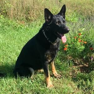 Meet your Posher, Lisa